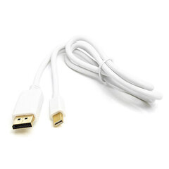 Kaabel mini DisplayPort - DisplayPort, 1m hind ja info | Juhtmed ja kaablid | hansapost.ee