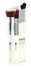 Dermacol Brushes meigipintslite kinkekomplekt цена и информация | Кисти для макияжа, спонжи | hansapost.ee