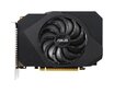Nvidia GeForce GTX 1650 цена и информация | Videokaardid | hansapost.ee