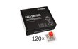Glorious PC Gaming Race Kailh Box Red Linear & Silent 120 vnt цена и информация | Klaviatuurid | hansapost.ee