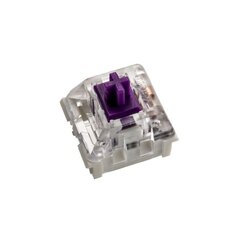 Glorious PC Gaming Race Kailh Pro Purple 120 vnt цена и информация | Клавиатура с игровой мышью 3GO COMBODRILEW2 USB ES | hansapost.ee