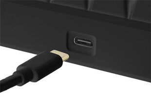 Deltaco Mini DK430 цена и информация | Клавиатура с игровой мышью 3GO COMBODRILEW2 USB ES | hansapost.ee