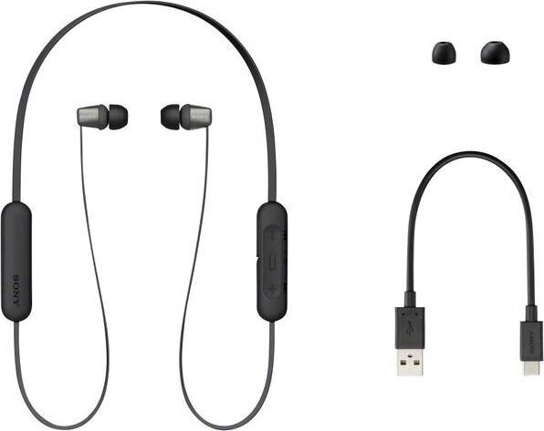 Juhtmevabad kõrvasisesed kõrvaklapid Sony WI-C310, WIC310B.CE7 hind ja info | Kõrvaklapid | hansapost.ee