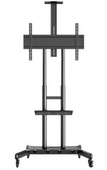 Multibrackets Public Floorstand Basic 180 55-80” цена и информация | Кронштейны и крепления для телевизоров | hansapost.ee