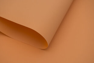 Рулонные шторы Klasika Decor, 100x170 см цена и информация | Рулонные шторы | hansapost.ee