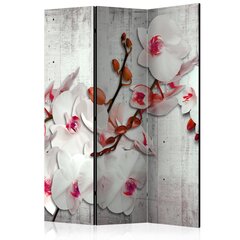 Ruumijaotur - Concrete Orchid [Room Dividers] hind ja info | Sirmid ja vaheseinad | hansapost.ee