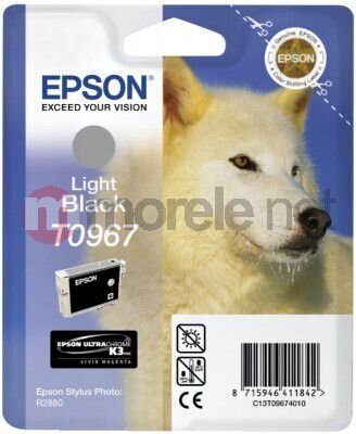Epson C13T09674010 hind ja info | Tindiprinteri kassetid | hansapost.ee