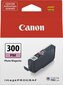 CANON PFI-300 PM EUR/OCN photo magenta hind ja info | Tindiprinteri kassetid | hansapost.ee