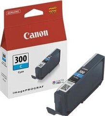 Canon 4194C001, синий цена и информация | Картриджи для струйных принтеров | hansapost.ee