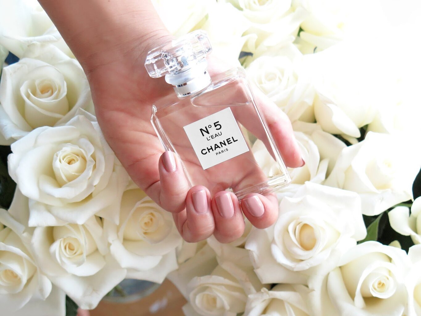 Tualettvesi Chanel No.5 L`Eau EDT naistele, 100 ml hind ja info | Parfüümid naistele | hansapost.ee