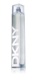 Dkny Men – Eau de Toilette Spray 100 ml hind ja info | Donna Karan Parfüümid, lõhnad ja kosmeetika | hansapost.ee