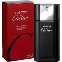 Cartier Santos de Cartier EDT для мужчин 100 мл цена и информация | Мужские духи | hansapost.ee