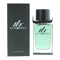 Meeste parfüüm Mr Burberry Burberry EDT: Maht - 150 ml hind ja info | Parfüümid meestele | hansapost.ee