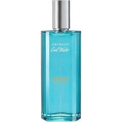 Tualettvesi Davidoff Cool Water Wave EDT meestele 40 ml hind ja info | Parfüümid meestele | hansapost.ee