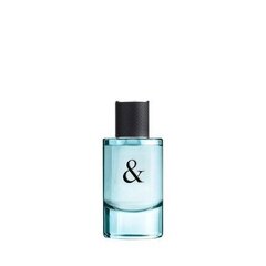 Tualettvesi Tiffany & Co Love Him EDT meestele 50 ml hind ja info | Parfüümid meestele | hansapost.ee