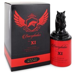 Niche Bucephalus Nr. XI by Armaf lõhn meestele, 90 ml цена и информация | Мужские духи | hansapost.ee