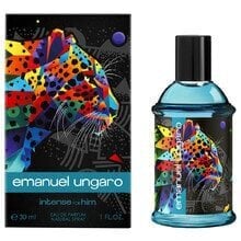 Emanuel Ungaro Intense For Him EDP meestele 100 ml цена и информация | Parfüümid meestele | hansapost.ee