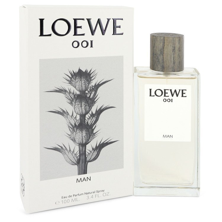 Loewe 001 Man EDP meestele 100 ml цена и информация | Parfüümid meestele | hansapost.ee