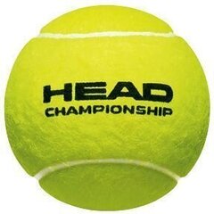 Tennisepallid Head Championship 3 tk hind ja info | HEAD Sport, puhkus, matkamine | hansapost.ee