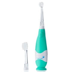 Beebi hambahari BabySonic Brush-Baby / 0-3 a. price and information | Electric toothbrushes | hansapost.ee