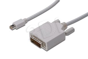 ASSMANN - Кабель DisplayPort 1.1a mini DP-DVI TypA MM 2.0 м цена и информация | Адаптеры, USB-разветвители | hansapost.ee