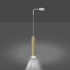 Emibig подвесной светильник Goldi 1 White/Gold цена и информация | Потолочный светильник, 38 x 38 x 24 см | hansapost.ee
