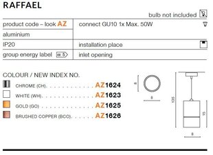 Azzardo подвесной светильник AZ1625 Raffael цена и информация | Потолочный светильник, 38 x 38 x 24 см | hansapost.ee