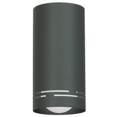 Luminex настенный светильник Insert Round 200 цена и информация | Настенный светильник Конусы | hansapost.ee
