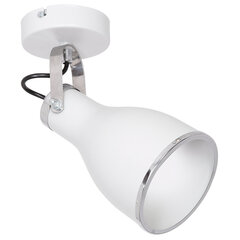 Luminex настенный светильник Bjorn цена и информация | Настенные светильники | hansapost.ee