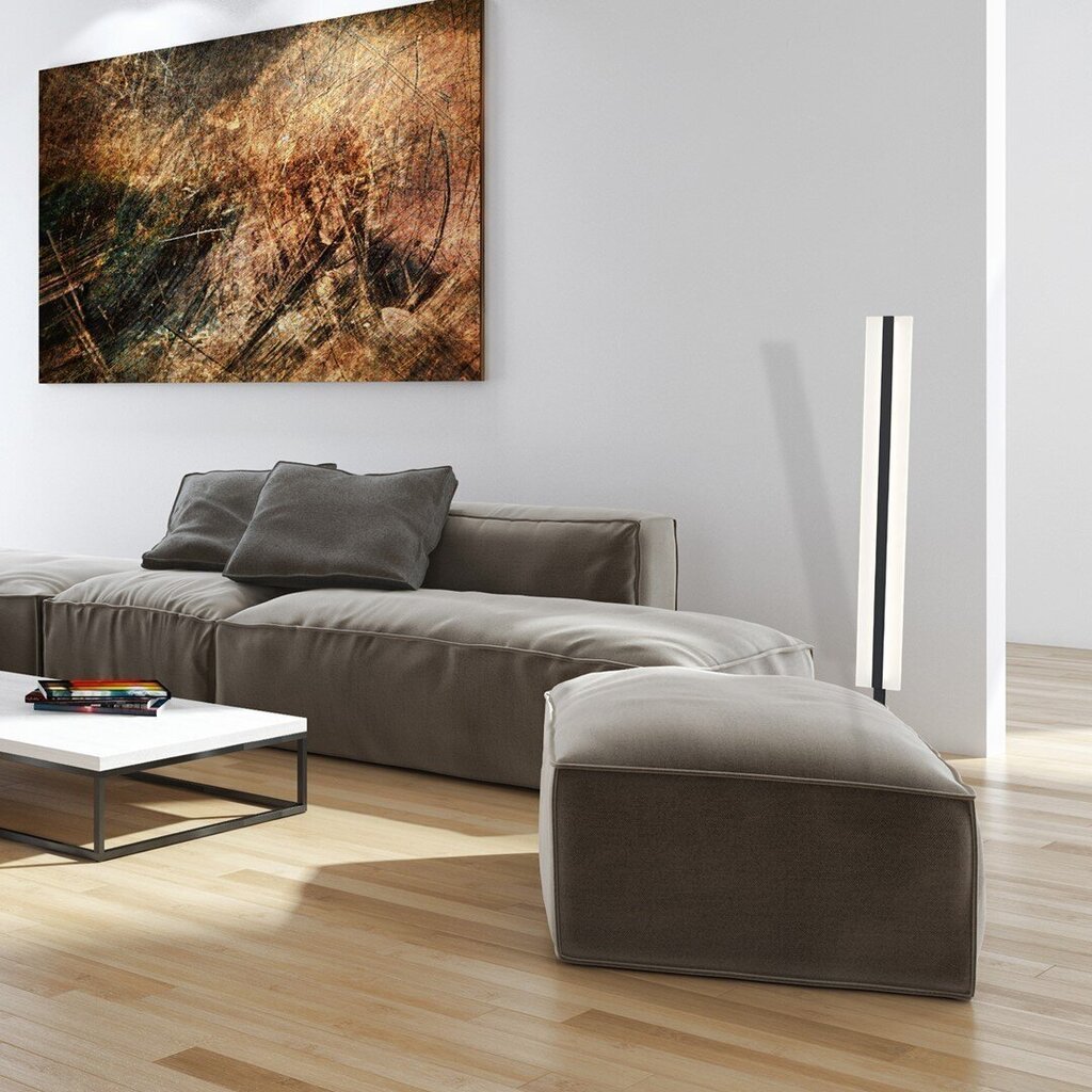 LED põrandalamp Milagro Ray цена и информация | Põrandalambid | hansapost.ee