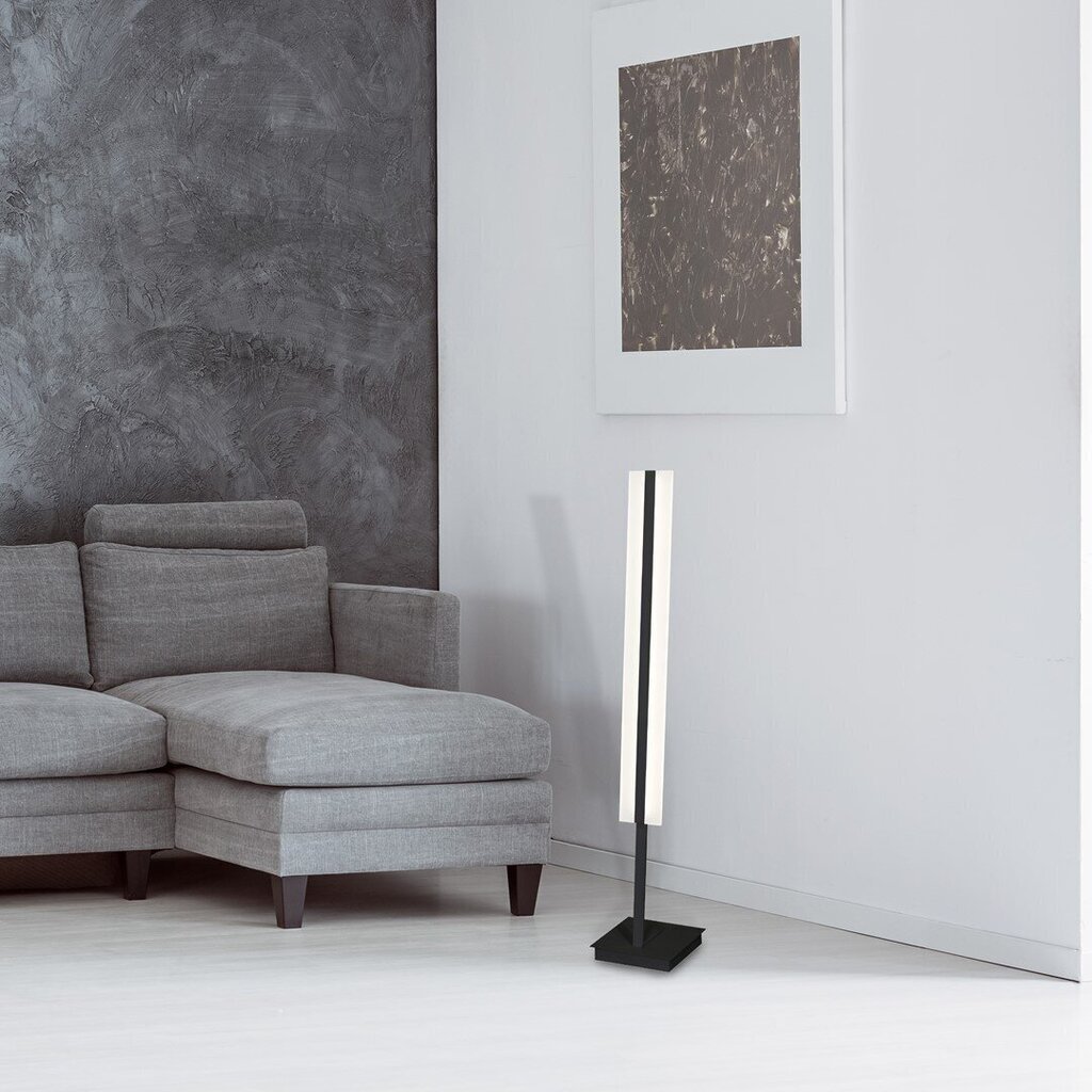 LED põrandalamp Milagro Ray hind ja info | Põrandalambid | hansapost.ee