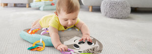 Музыкальная подушка «Ленивец» Fisher Price цена и информация | Игрушки для малышей | hansapost.ee