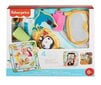 Arendav matt Fisher Price Bassein цена и информация | Beebide mänguasjad | hansapost.ee