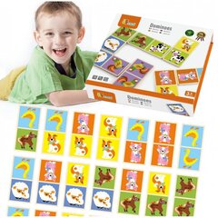 Värviline domino hind ja info | Arendavad laste mänguasjad | hansapost.ee