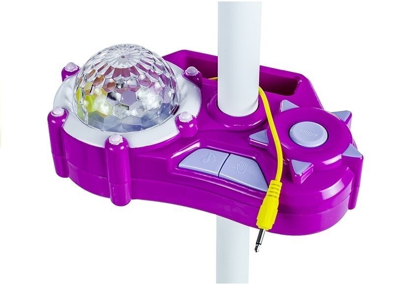 Mikrofon koos projektori ja MP3-pesaga hind ja info | Arendavad laste mänguasjad | hansapost.ee