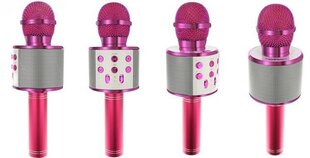 Karaoke mikrofon - kõlar häält muutvate efektidega hind ja info | Arendavad laste mänguasjad | hansapost.ee