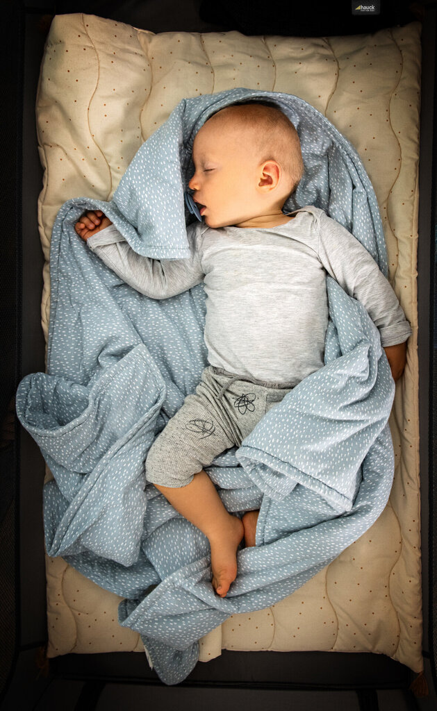 Hauck Reisivoodi-Mänguaedik Sleep N Play Go Plus, grey hind ja info | Reisivoodid | hansapost.ee