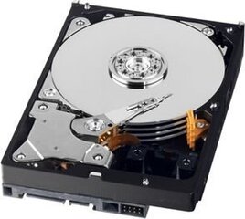 Western Digital WD AV-GP 3.5''500GB SATA/600, 64MB cache (WD5000AURX) цена и информация | Внутренние жёсткие диски (HDD, SSD, Hybrid) | hansapost.ee