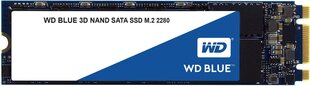 Western Digital Blue 250GB SATA3 (WDS250G2B0B) цена и информация | Внутренние жёсткие диски (HDD, SSD, Hybrid) | hansapost.ee