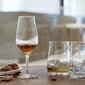 Spiegelau Viskiklaas Whisky Snifter Premium, 2 tk hind ja info | Klaasid, kruusid ja kannud | hansapost.ee