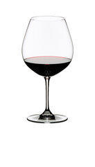 Riedel Vinum punase veini klaas Burgundy, 2 tk hind ja info | Klaasid, kruusid ja kannud | hansapost.ee