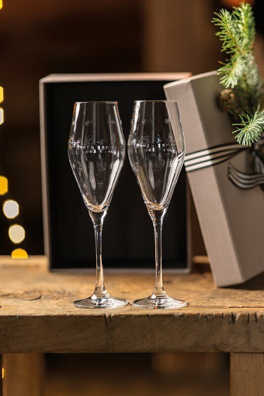 Villeroy&Boch šampanjaklaaside komplekt Toy's Delight, 2 tk цена и информация | Klaasid, kruusid ja kannud | hansapost.ee
