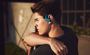 Наушники с креплением (Over-Ear) Sony  цена и информация | Наушники | hansapost.ee