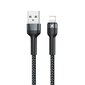 Remax USB - Lightning cable charging data transfer 2,4 A, 1 m hind ja info | Mobiiltelefonide kaablid | hansapost.ee
