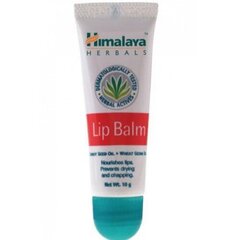 Huulepalsam Himalaya Herbals Lip Balm 10 g hind ja info | Huulekosmeetika | hansapost.ee