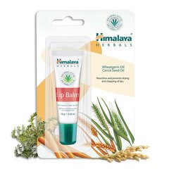 Huulepalsam Himalaya Herbals Lip Balm 10 g hind ja info | Himalaya Kaitsevahendid, hooldusvahendid ja meditsiinitarbed | hansapost.ee