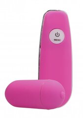 GC juhtmevaba vibreeriv muna Wireless Vibrating Egg, roosa hind ja info | Vibraatorid | hansapost.ee