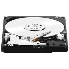 Western Digital WD10JFCX цена и информация | Внутренние жёсткие диски (HDD, SSD, Hybrid) | hansapost.ee