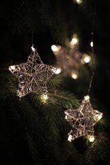 DecoKing valguskett Snowflakes, 38 LED hind ja info | Jõulutuled | hansapost.ee