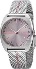 Женские часы Espirit Spectrum Purple Stripe Mesh ES1L035M0055 S0351817 цена и информация | Esprit Для женщин | hansapost.ee
